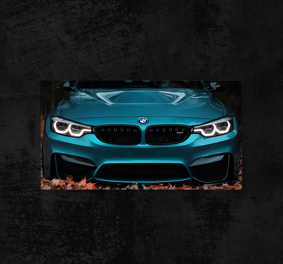 BMW - Motorsport Legacy Frame